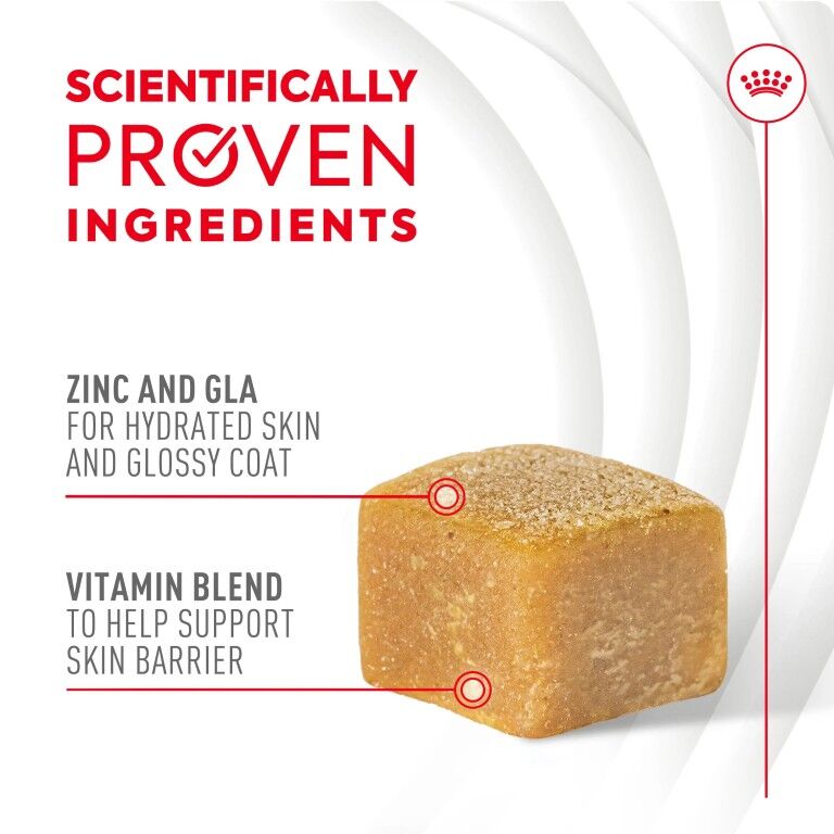 Royal Canin Skin & Coat Supplement Soft Chews For Adult Dogs