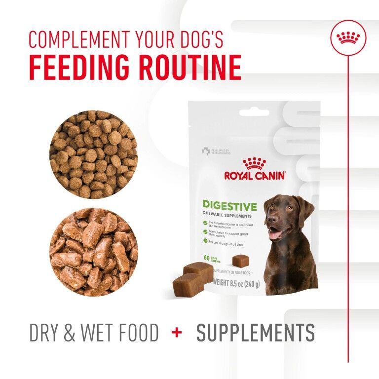 Royal Canin Digestive Supplement Soft Chews For Adult Dogs, 60-Ct