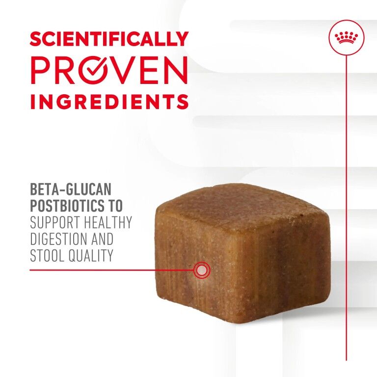 Royal Canin Digestive Supplement Soft Chews For Adult Dogs, 60-Ct