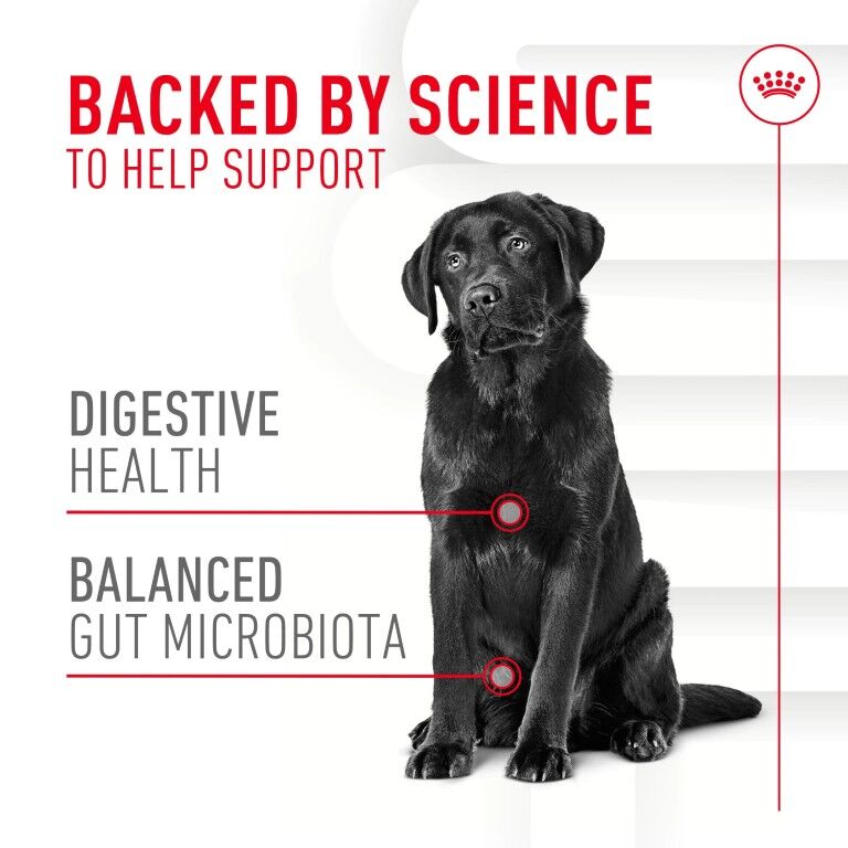 Royal Canin Digestive Supplement Soft Chews For Adult Dogs, 60-Ct