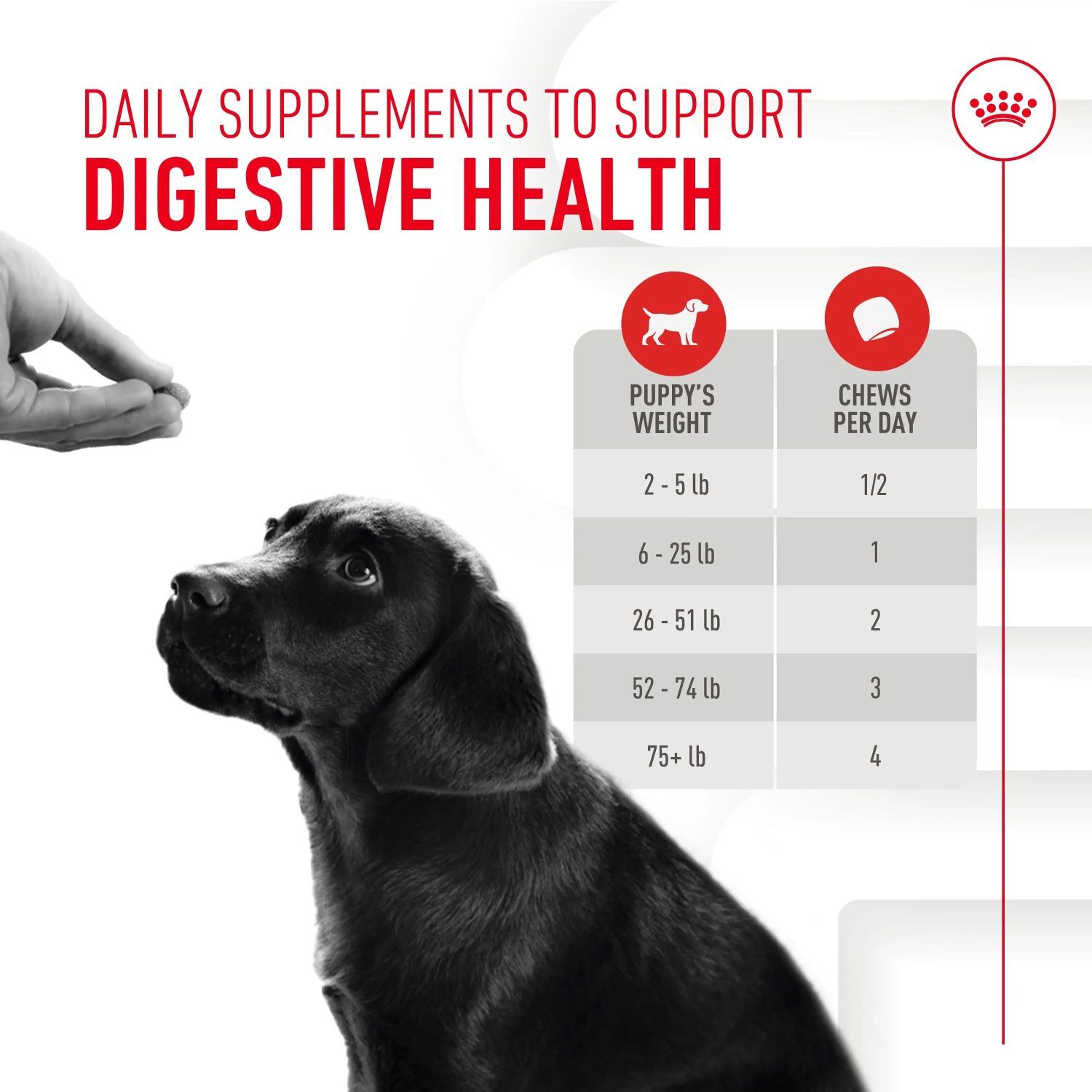 Royal Canin Puppy Immunity Digestion Chews, 60-Ct