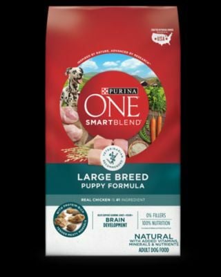 Purina 31.1 lb Bag One SmartBlend Large Breed Puppy Formula- Chicken