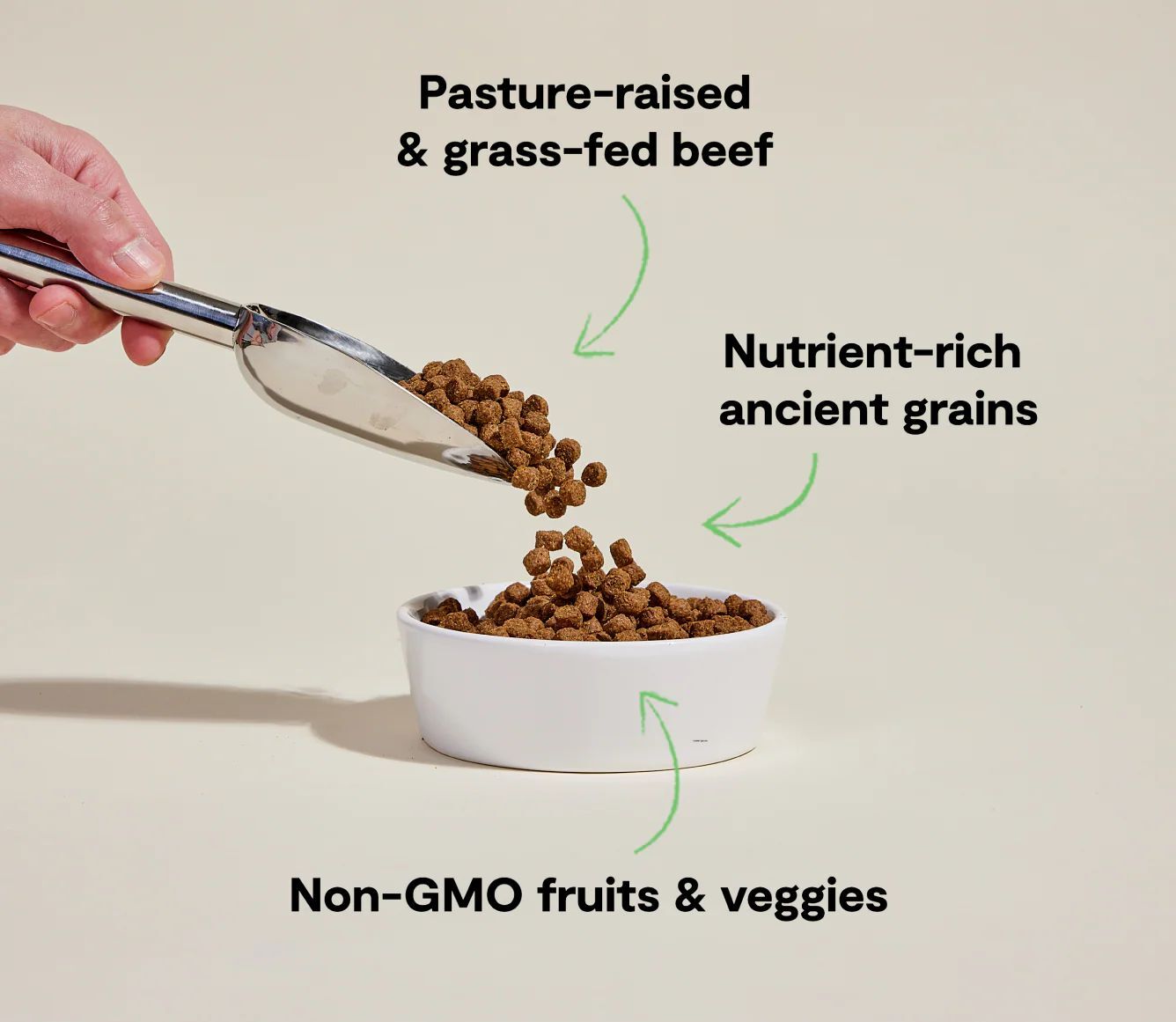 Open Farm Grass-Fed Beef & Ancient Grains Dog Food, 22-Lb