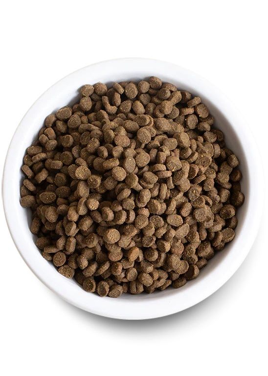 Open Farm Kitten Grain-Free Dry Cat Food, 2-Lb