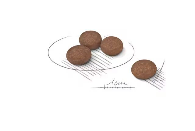 Royal Canin Small Digestive Care Dry Dog Food, 3.5-Lb