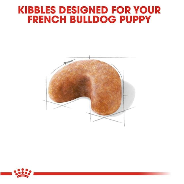 Royal Canin French Bulldog Puppy Dry Dog Food, 3-Lb