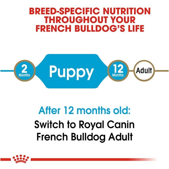 Royal Canin French Bulldog Puppy Dry Dog Food, 3-Lb