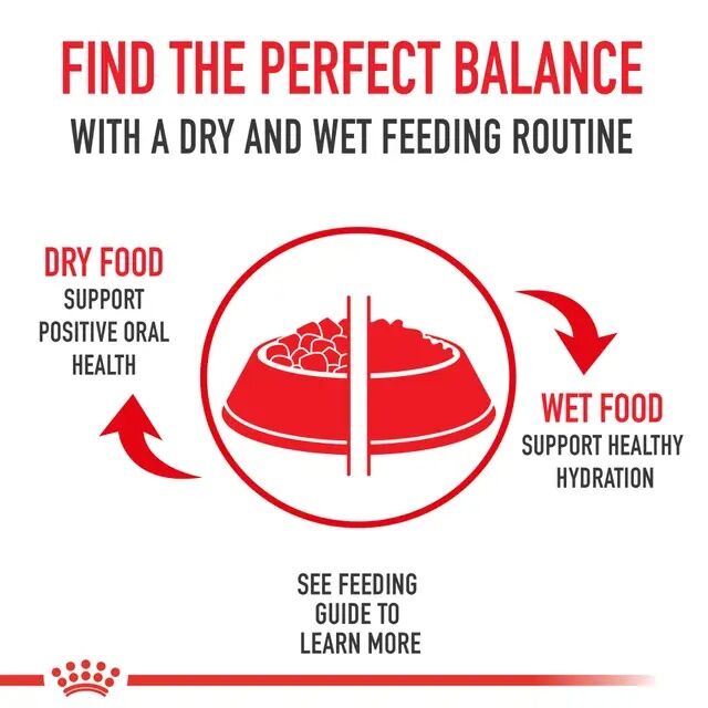 Royal Canin Mother & Babycat Ultra Soft Mousse In Sauce Canned Cat Food, 12-Pk
