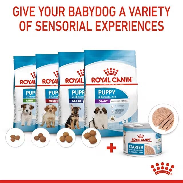 Royal Canin Starter Mother & Babydog Ultra Soft Mousse In Sauce Wet Pet Food, 5.1-Oz