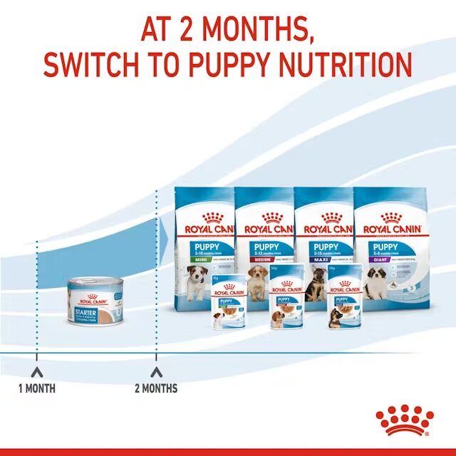 Royal Canin Starter Mother & Babydog Ultra Soft Mousse In Sauce Wet Pet Food, 5.1-Oz