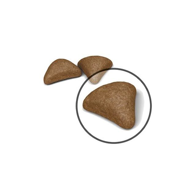 Royal Canin Hairball Care Dry Cat Food, 6-Lb