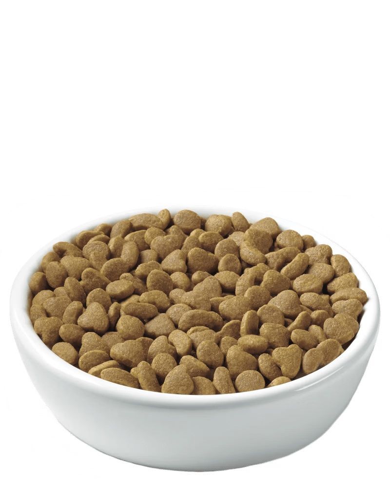 Purina Pro Plan Kitten Chicken & Rice Formula Dry Cat Food, 16-Lb