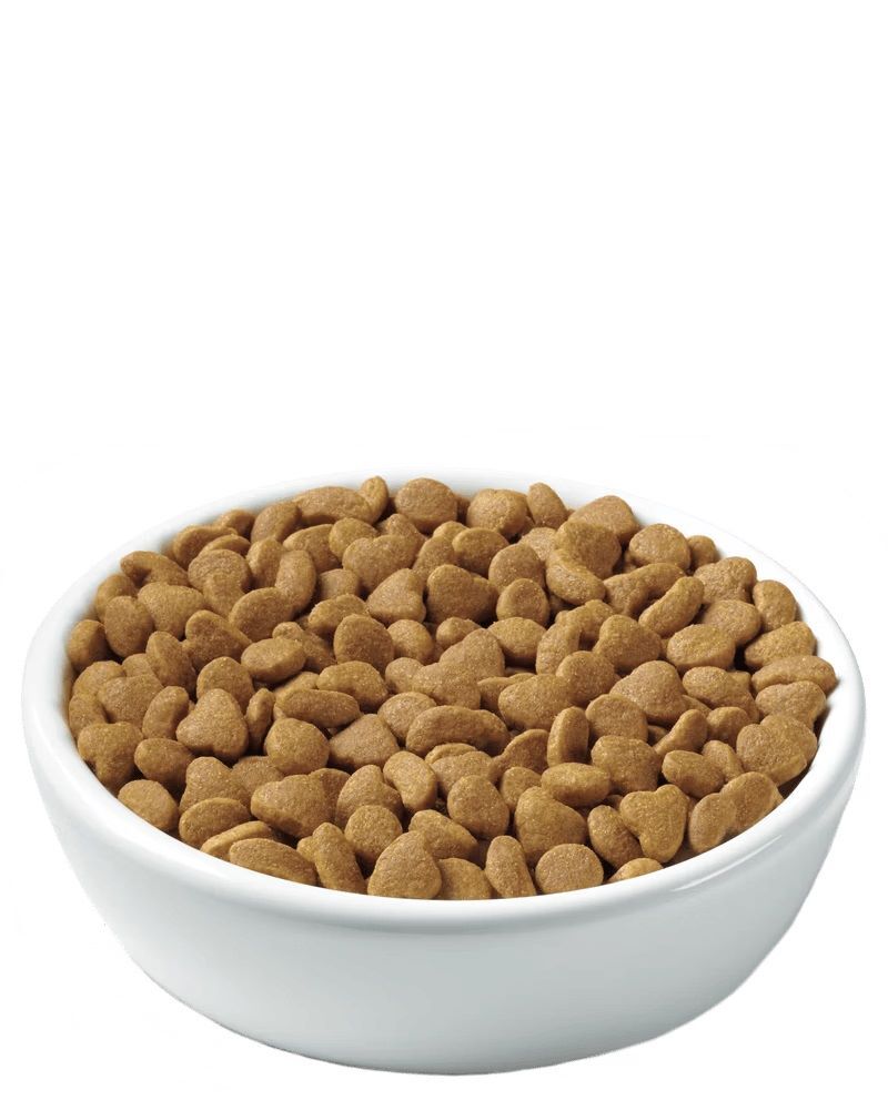 Purina Pro Plan Kitten Chicken & Rice Formula Dry Cat Food, 3.5-Lb