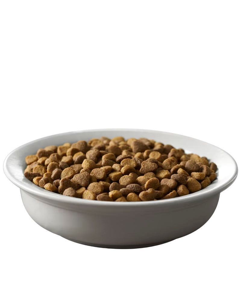 Purina Pro Plan Adult Complete Essentials Chicken & Rice Formula Dry Cat Food, 16-Lb