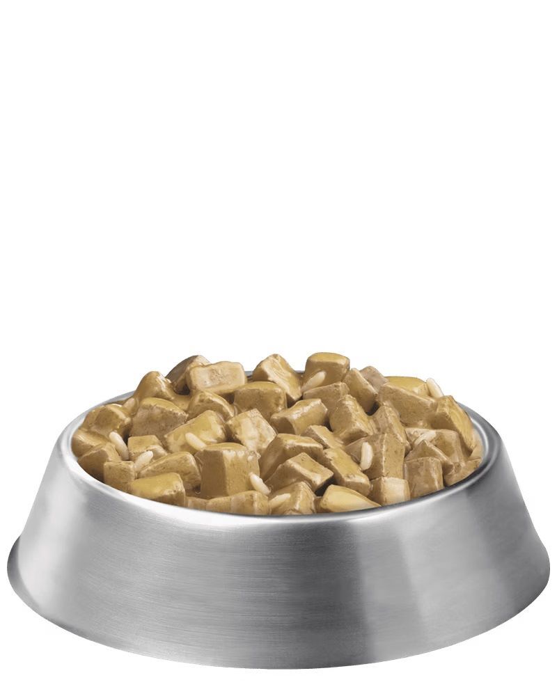Purina Pro Plan Adult Large Breed Chicken & Rice Entrée Chunks In Gravy Wet Dog Food, 13-Oz