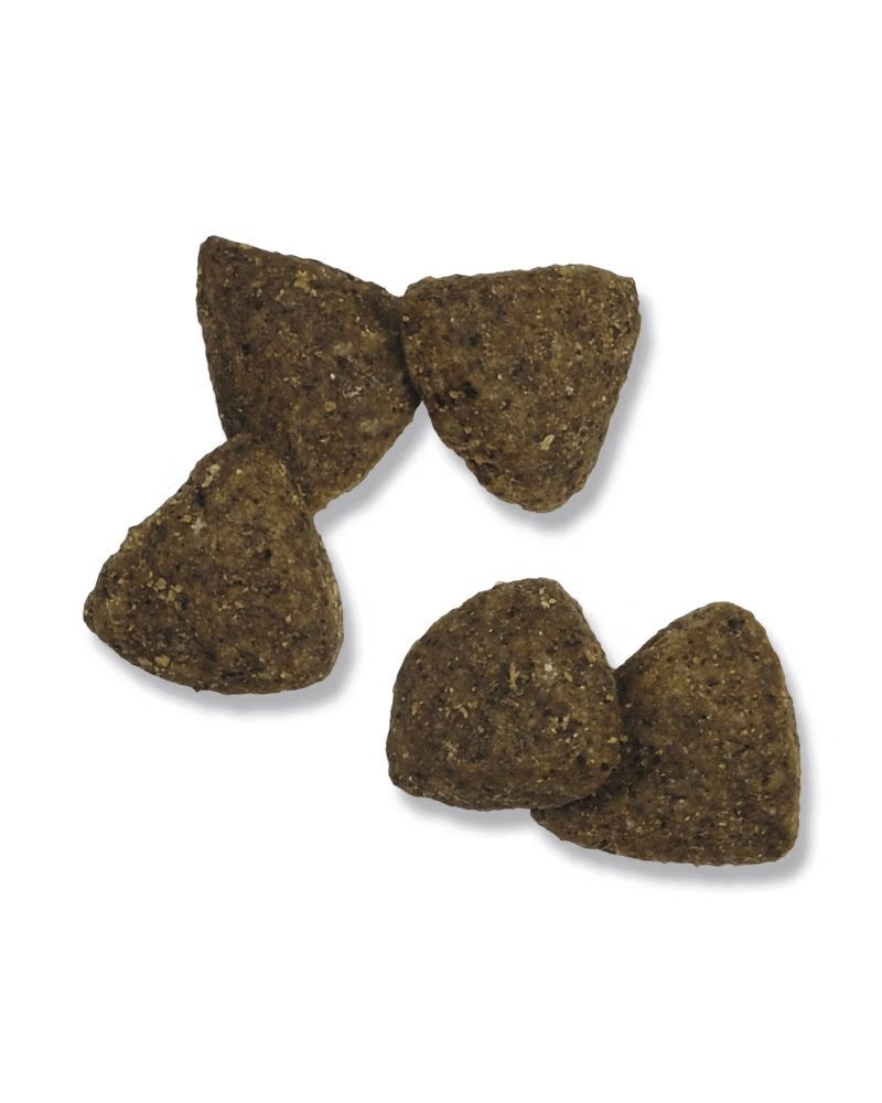 Purina Pro Plan Adult Sensitive Skin & Stomach Salmon & Rice Formula Dry Dog Food, 4-Lb