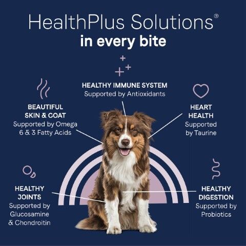 Canidae PURE Grain Free Bison, Lentil and Carrot Dry Dog Food, 21-Lb