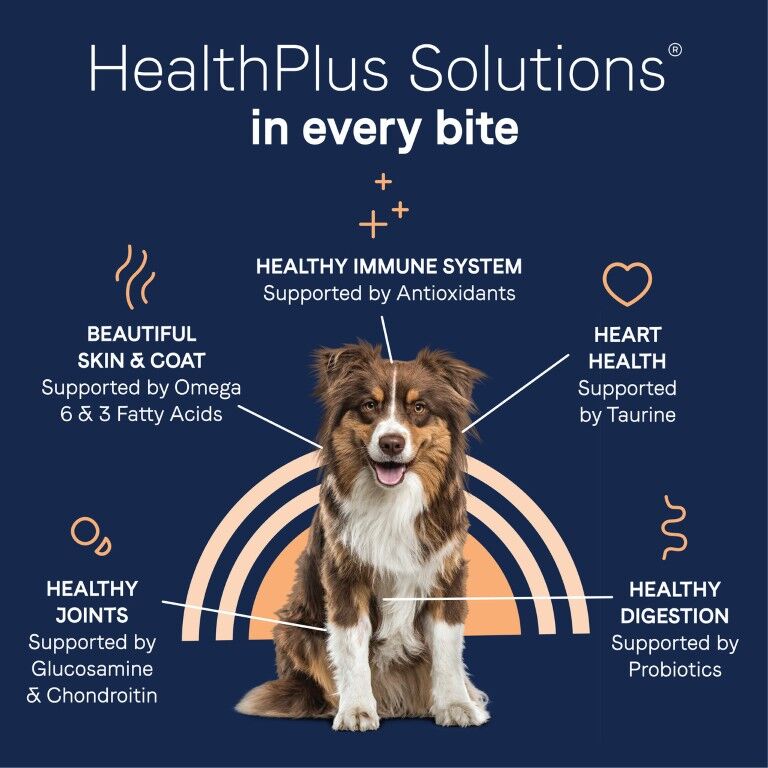 Canidae Pure Dry Dog Food Salmon & Sweet Potato Recipe, 4-Lb