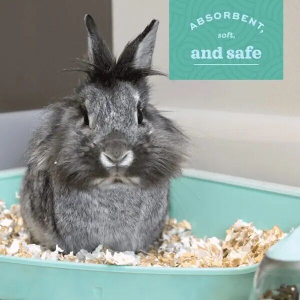 Oxbow Pure Comfort 3417-Cu In Natural Bedding, 56-L