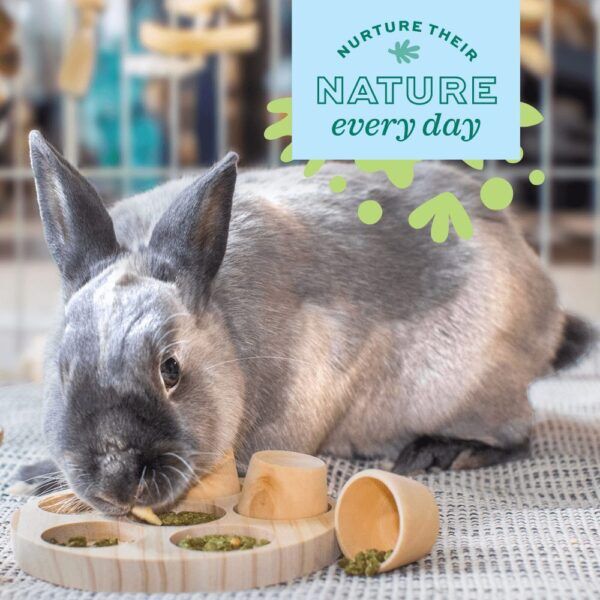 Oxbow Enriched Life Hay Forager