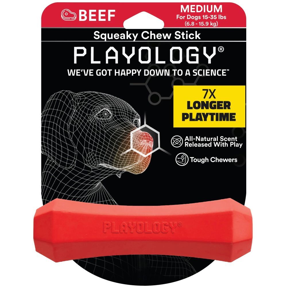 Playology Medium Beef Squeaky Chew Stick