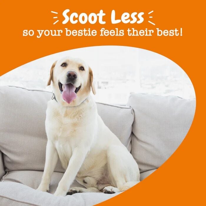 Zesty Paws Scoot Away Bites For Dogs, 90-Ct
