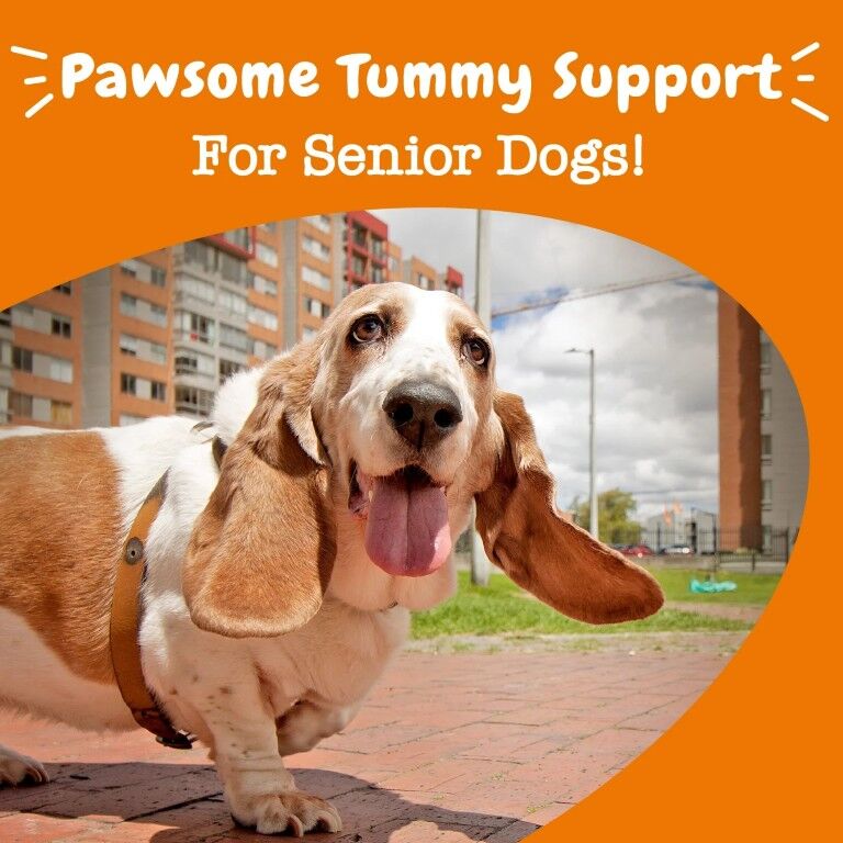 Zesty Paws Senior Advanced Probiotic Bites For Senior Dogs