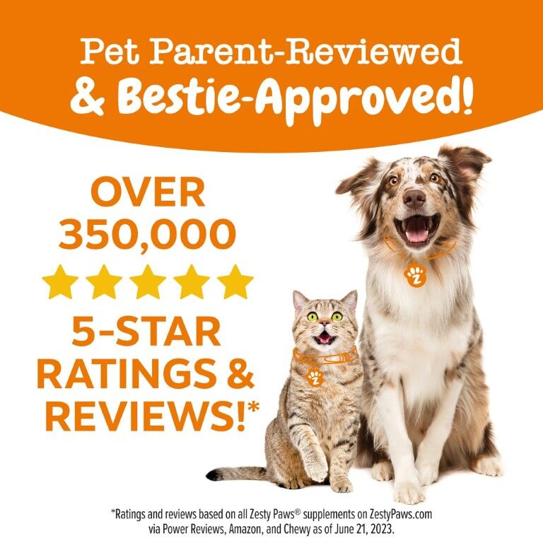 Zesty Paws Senior Advanced Probiotic Bites For Senior Dogs