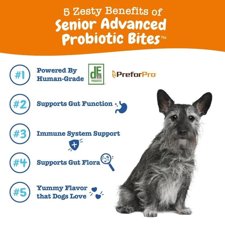 Zesty Paws Senior Advanced Probiotic Bites For Senior Dogs