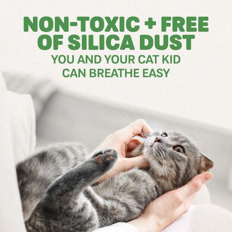 Naturally Fresh Walnut Shell Cat Litter Multi-Cat Formula, 14-Lb