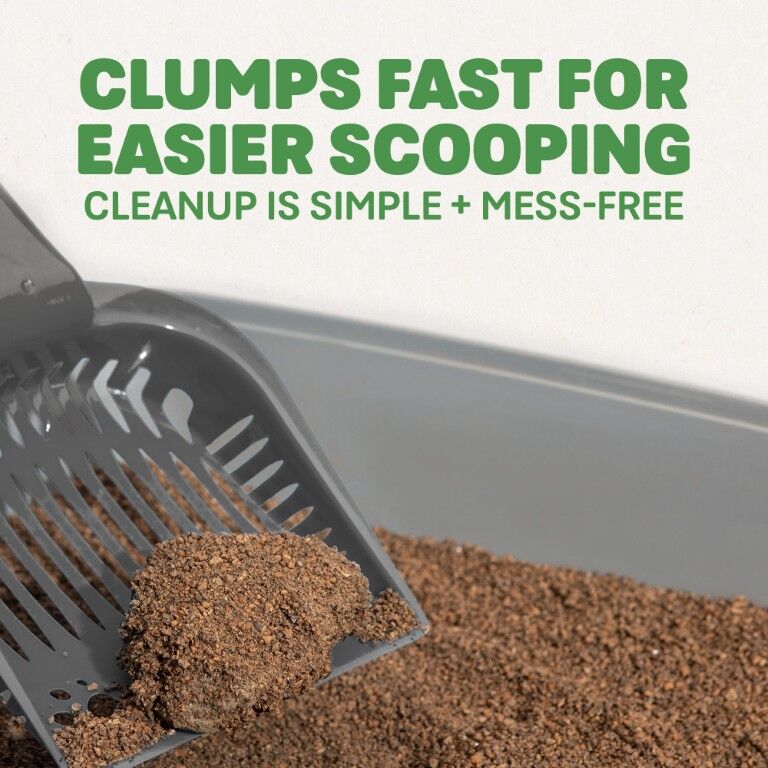 Naturally Fresh Quick-Clumping Formula Cat Litter, 10-Lb