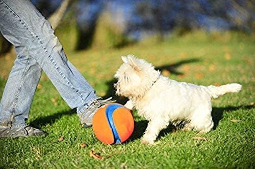 Chuckit! Kick Fetch Ball Dog Toy, Small