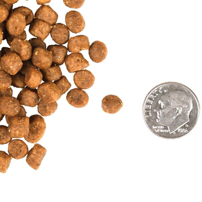 Fromm Adult Gold Dry Cat Food, 10-Lb