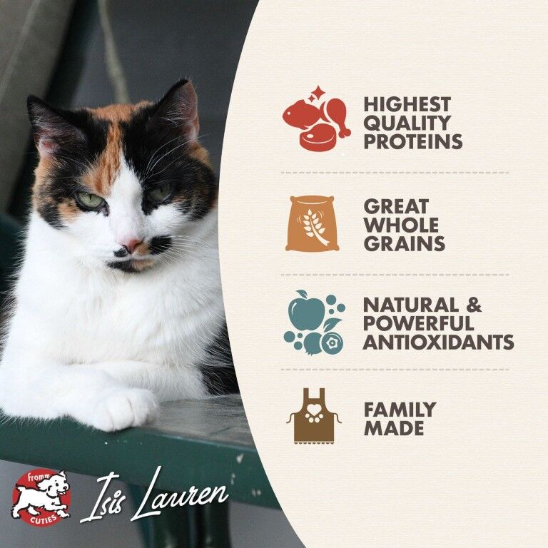 Fromm Adult Gold Dry Cat Food, 10-Lb