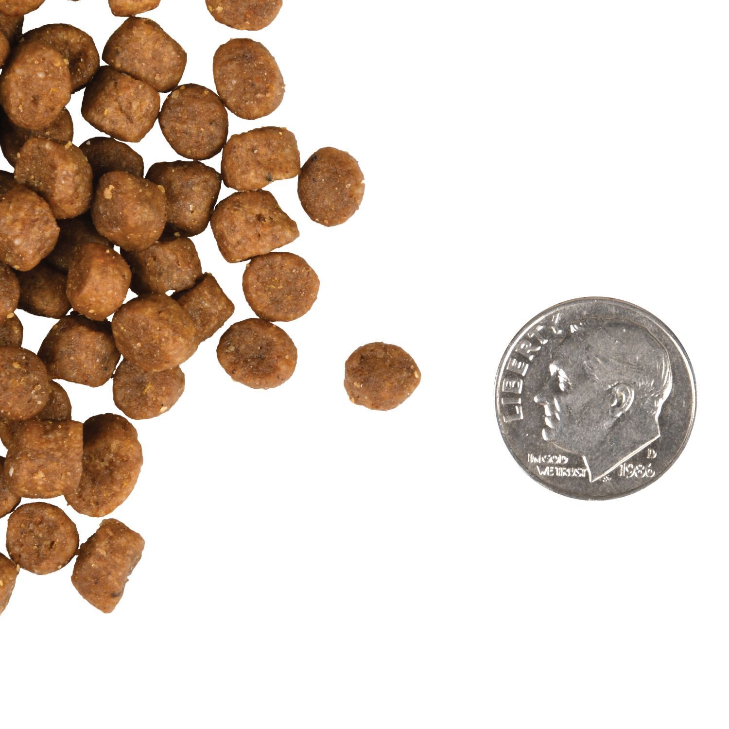 Fromm Kitten Gold Cat Food, 4-Lb