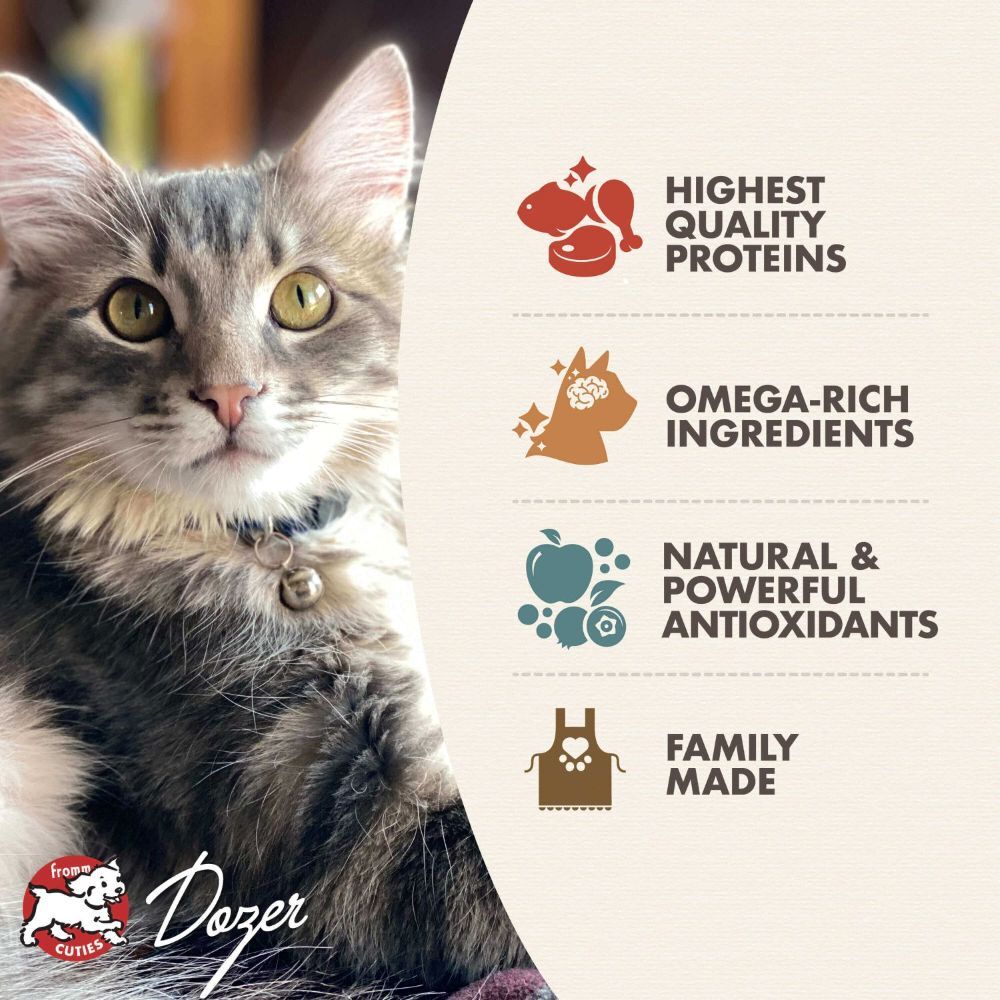 Fromm Kitten Gold Cat Food, 4-Lb