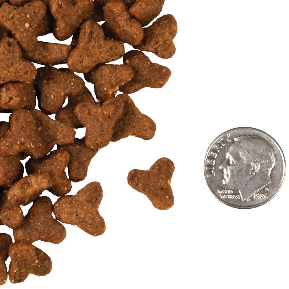 Fromm Four-Star Game Bird Recipe Cat Food, 4-Lb