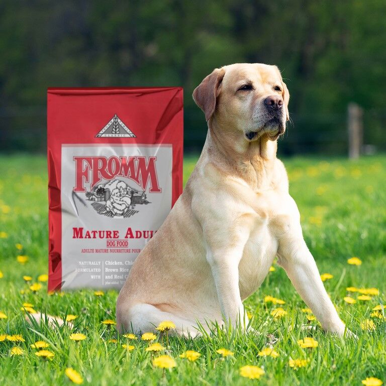 Fromm Classic Mature Adult Dog Food, 30-Lb