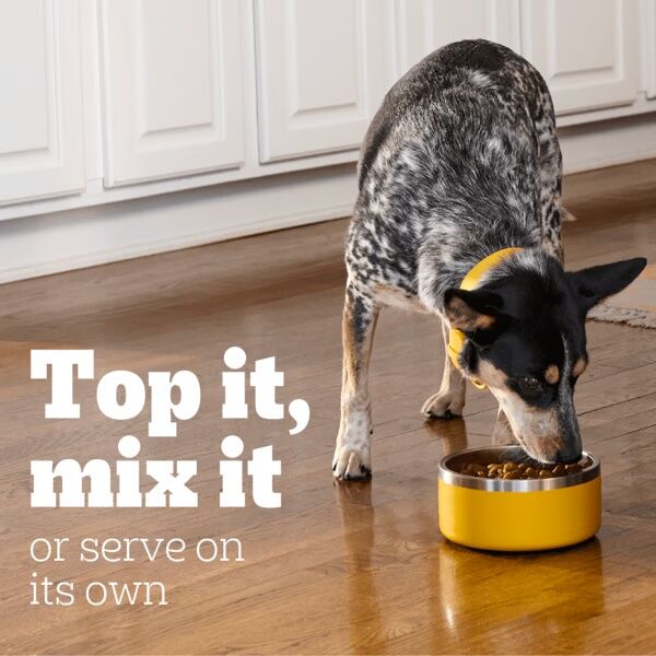 Pedigree Chopped Ground Dinner With Chicken Wet Dog Food, 13.2-Oz