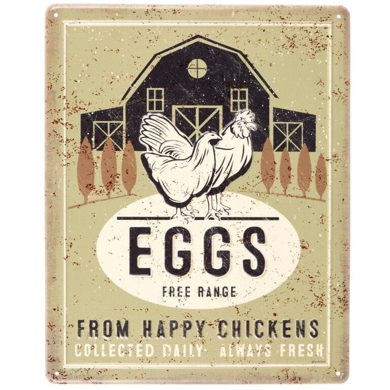 Primitives By Kathy Eggs Free Range Wall Décor