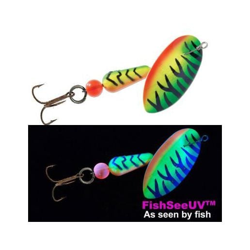 coastal fish lures Navicatch Saltwater Fishing Fishing Jigs Fishing Spoons for Bluefish, Striped Bass Lures, Spanish Mackerel,Shore Little Tunny, Metal, Jigging, Multi-Color: Silver, Blue, Pink 3pcs. 1.06oz : Sports & Outdoors and Dorado Saltwater Fishing Plugs: Types, Tips