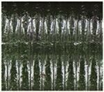 Yamamoto 5-In Senko Watermelon Pepper Stickbait