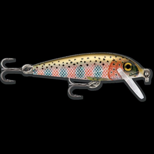 Countdown® CD07RT Hard Bait Lure Rainbow Trout 2 Overall Length 0.25 oz -  Bait & Lures, Rapala