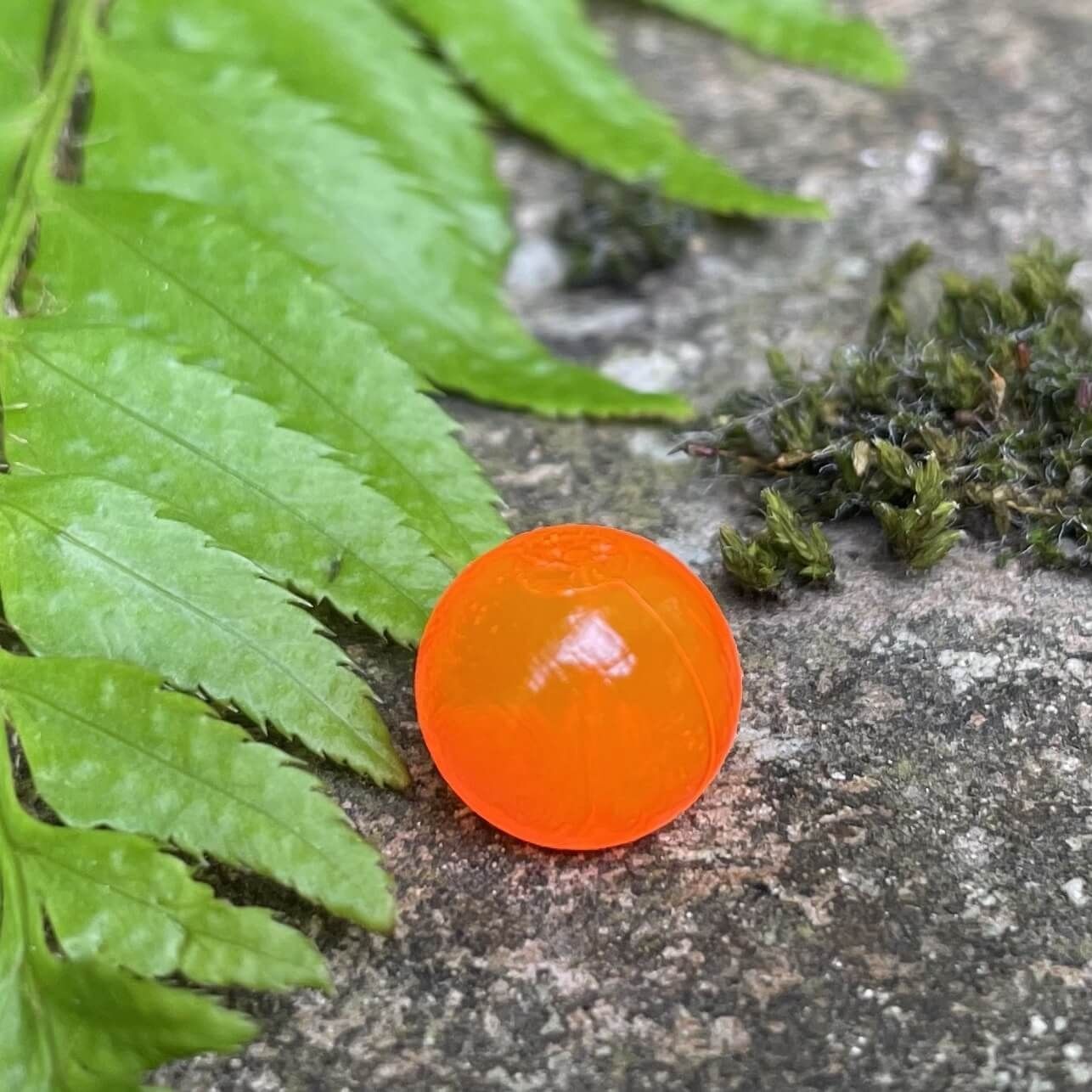 BNR Tackle Natural Soft Beads, 14-mm, 10-Pk