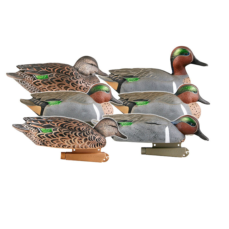 Pro-Grade Green-Winged Teal