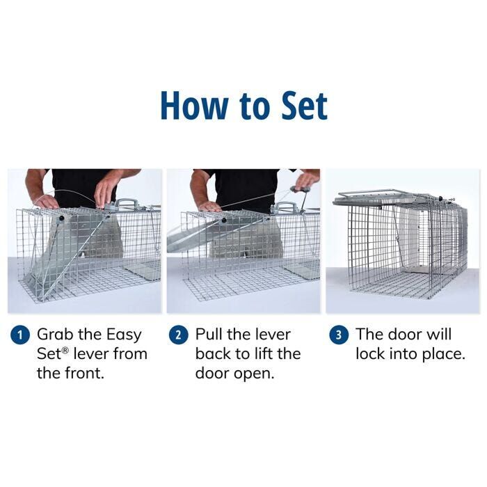 Havahart Easy Set Large 1-Door Animal Trap, 32-In X 10-In X 12-In