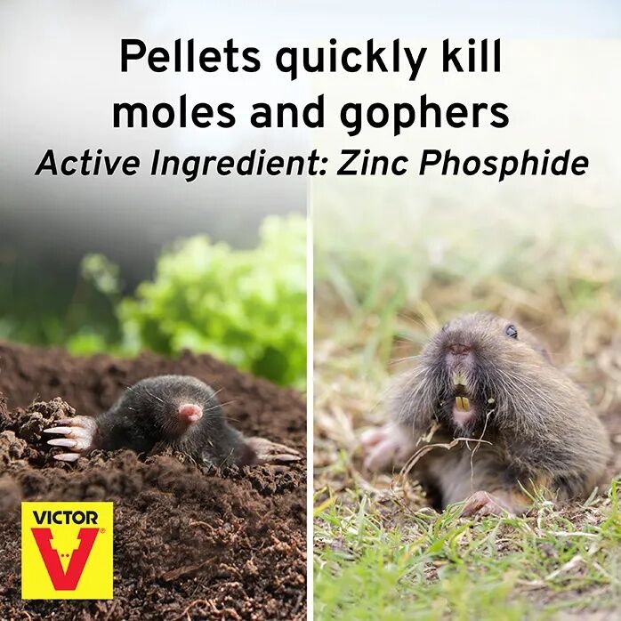 Sweeney's Poison Peanuts Mole & Gopher Bait - 6 oz