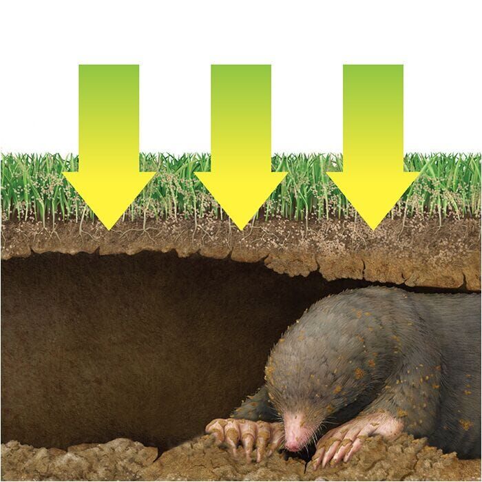 Victor Dual-Action Mole & Gopher Repellent, 10-Lb