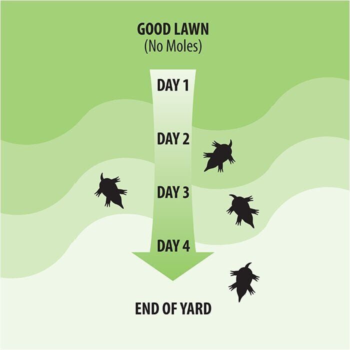 Victor Dual-Action Mole & Gopher Repellent, 10-Lb