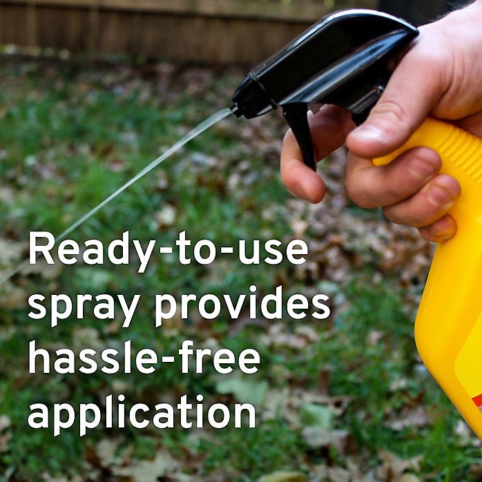 Victor Mouse & Rat Repellent Spray, 32-Oz